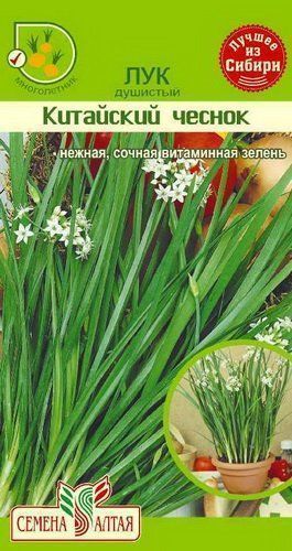 Лук душистый Китайский чеснок, семена
