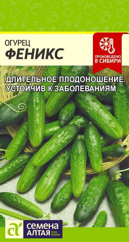 Огурец Феникс, семена