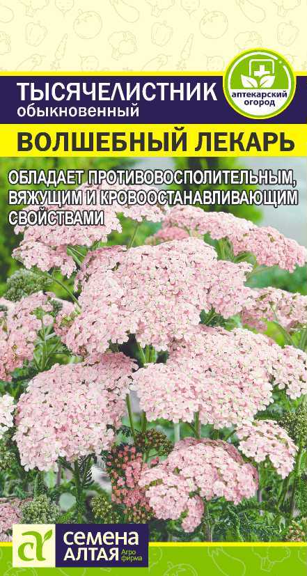 Тысячелистник Волшебный лекарь, семена