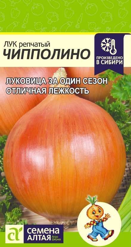 Лук репчатый Чипполино, семена