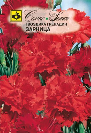 Гвоздика Гренадин Зарница, семена – купить в питомнике по цене 117 ₽ с ...