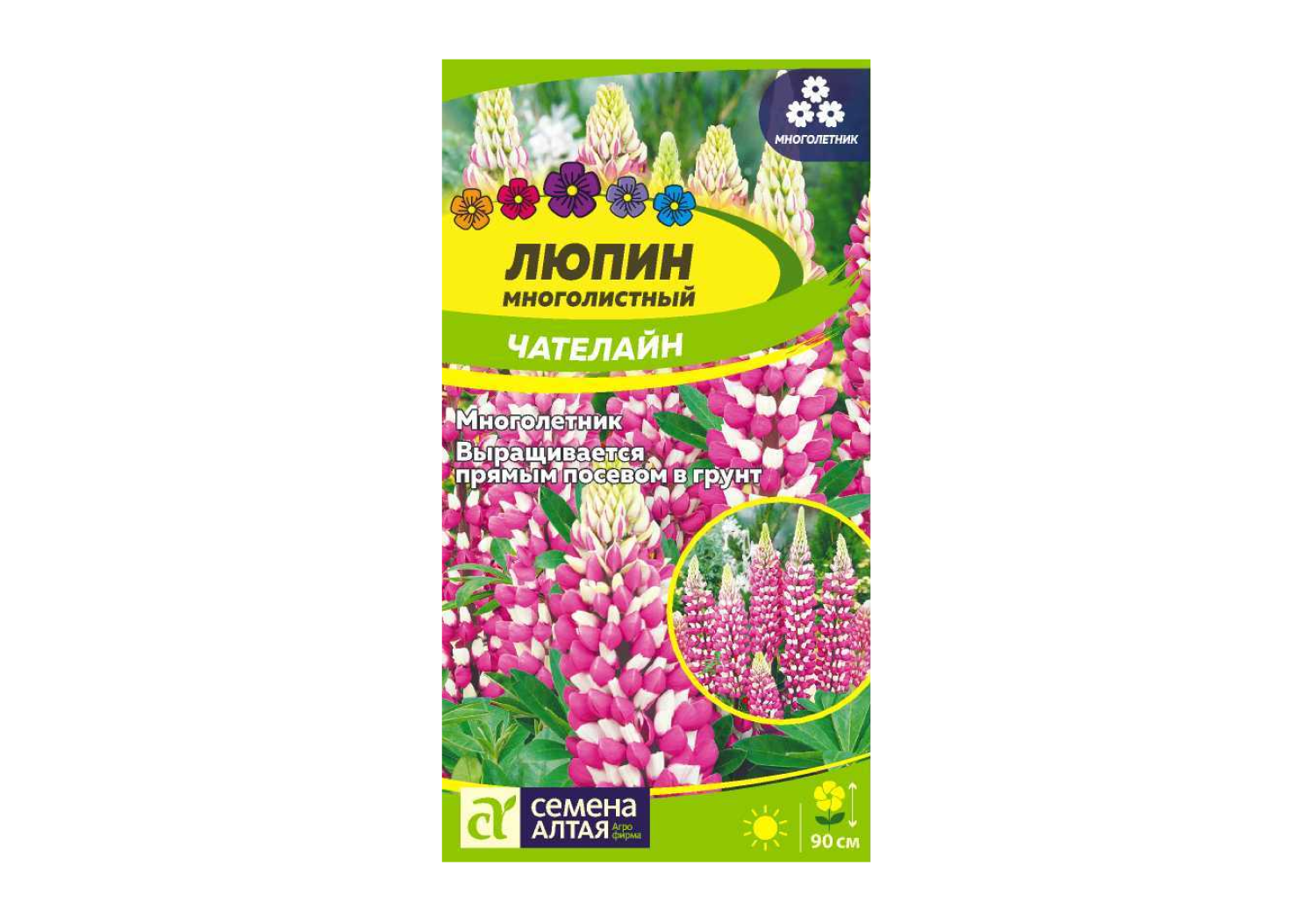 Люпин Чателайн, семена – купить в питомнике по цене 77 ₽ с доставкой по ...