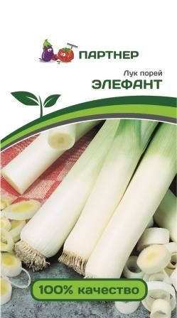 Лук порей Элефант, семена 0,5 г
