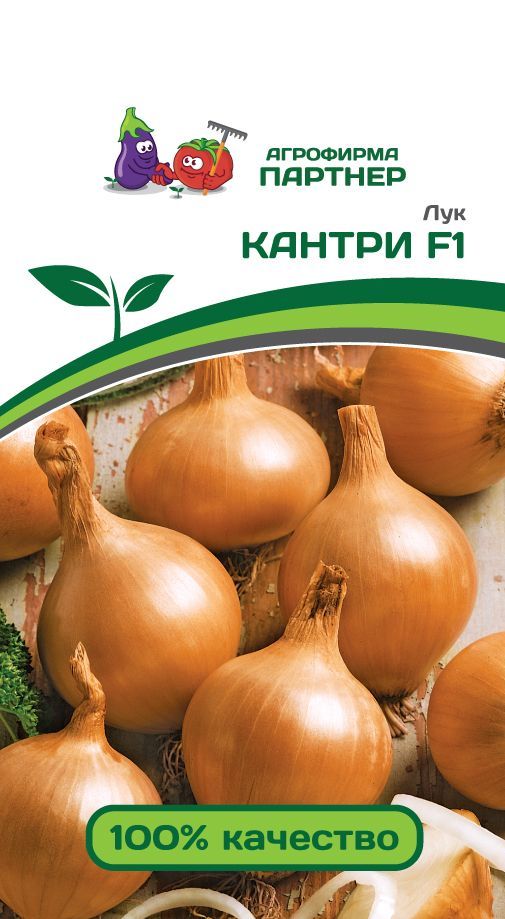 Лук репчатый Кантри F1, семена 0,5 г