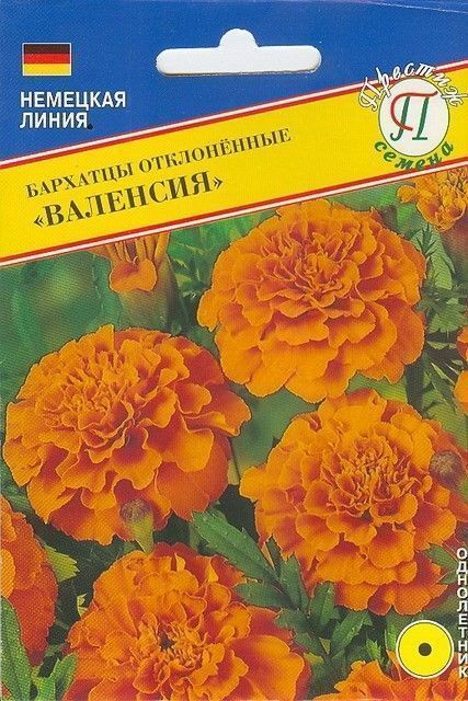 Бархатцы Валенсия, семена – купить в питомнике по цене 77 ₽ с доставкой ...