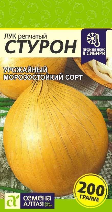 Лук репчатый Стурон, семена