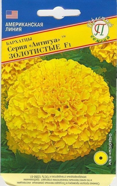 Бархатцы Антигуа Золотистые F1, семена – купить в питомнике по цене 117 ...